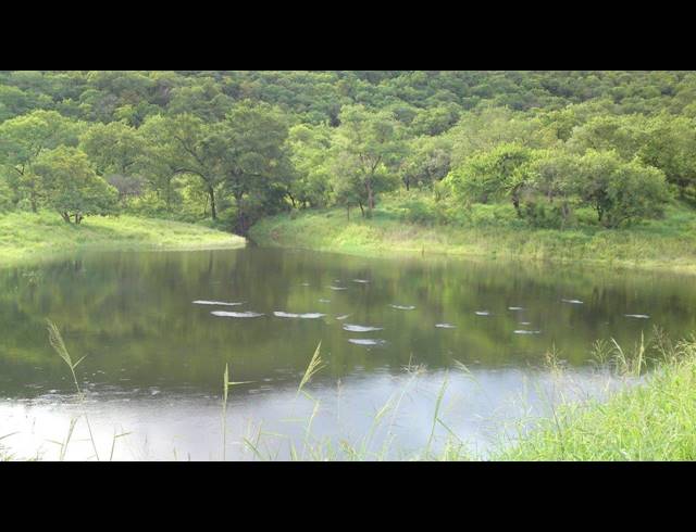 1,191HA FARM FOR SALE IN NELSPRUIT RURAL